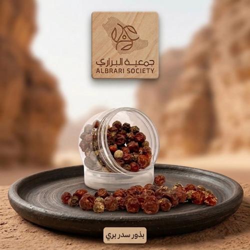 Wild Sidr seeds