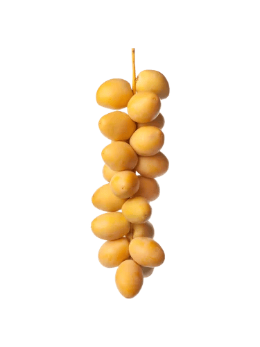 تمر برحى عبوة