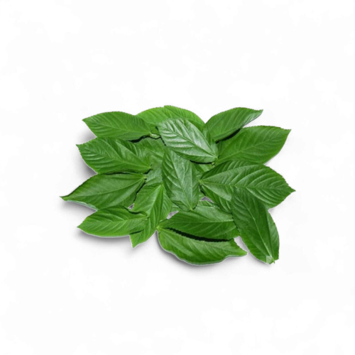 ملوخـــيه جيزاني مقطوفة - كيس كبير