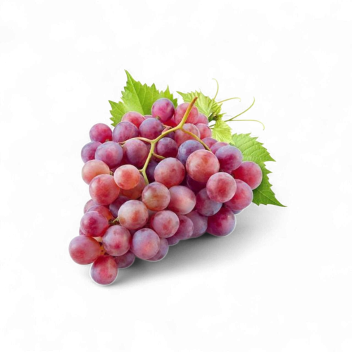 عنـــــب أحمـــــر بناتي - كرتــــون