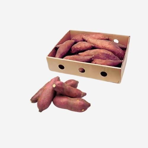 بطاطا حلوه احمر - كرتون