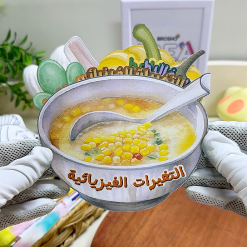 مطوية التغيرات الفيزيائية علوم ثالث ابتدائي