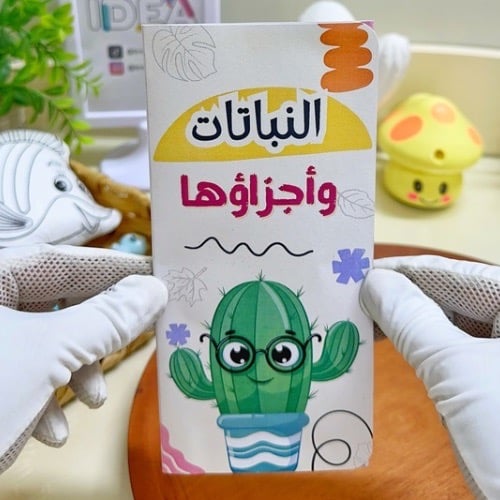 مطوية النباتات وأجزاؤها علوم ثالث ابتدائي