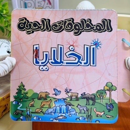مطوية الخلايا علوم رابع ابتدائي