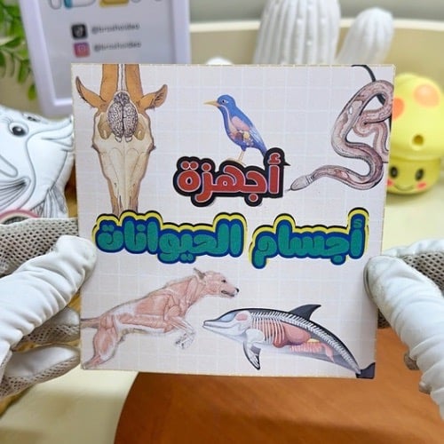 مطوية أجهزة أجسام الحيوانات علوم رابع ابتدائي