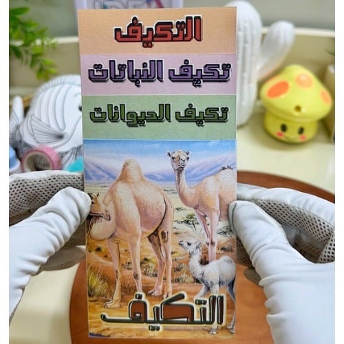 مطوية التكيف علوم ثالث ابتدائي