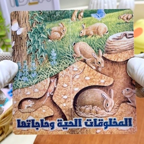 مطوية المخلوقات الحية وحاجاتها علوم ثالث ابتدائي
