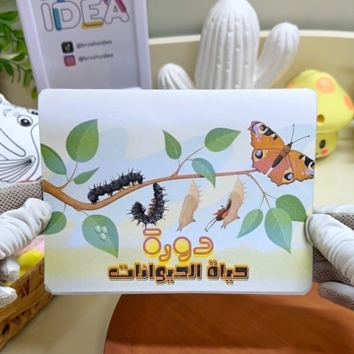 مطوية دورة حياة الحيوانات علوم ثالث ابتدائي