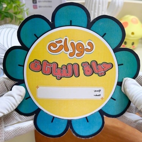 مطوية دورات حياة النباتات علوم ثالث ابتدائي