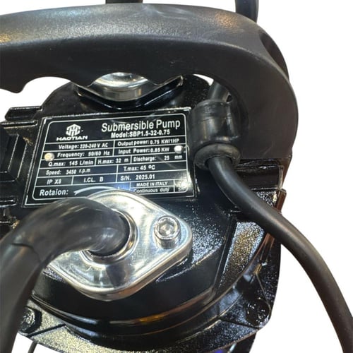 غطاس 1 حصان ايطالي