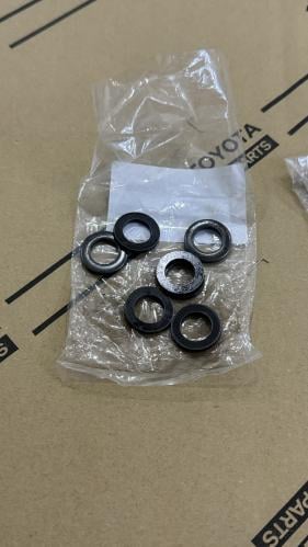 وردة صامولة الركبه