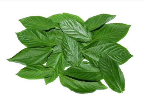 اوراق ملوخية طازجة كيس