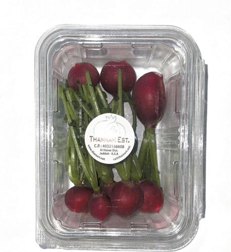 فجل احمر معلب جاهز