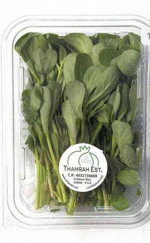 رجلة معلب جاهز