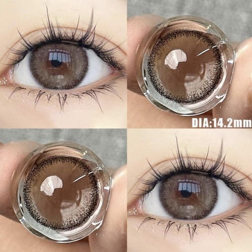 فراشة ‏Glutinous Brown