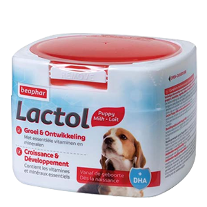 لاكتول حليب للجراء