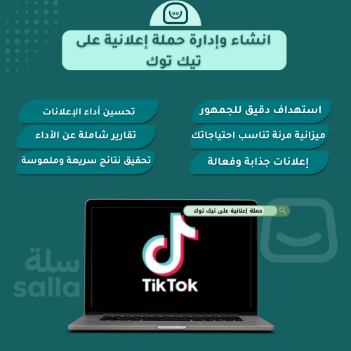 انشاء وإدارة حملة إعلانية على تيك توك (شهريا)