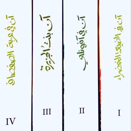 مجموعة آن - لوسي مونتغومري