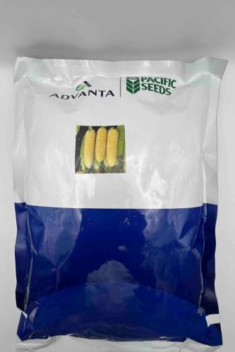 ذرة سكرية هجين 1ك /باكيت