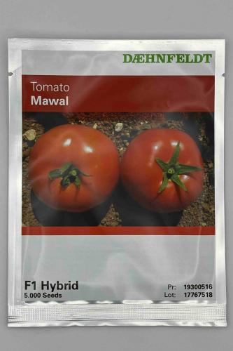 طماطم موال / علبة 5000بذرة