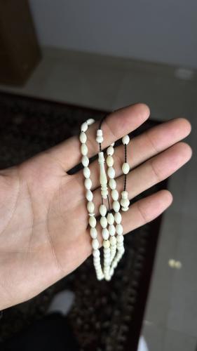 مسباح عظم جمل