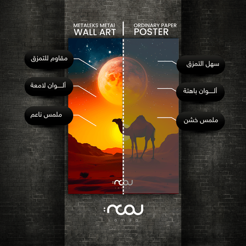 سفينة الصحاري