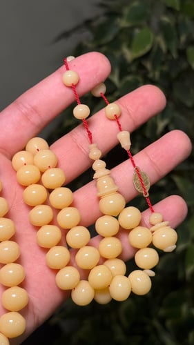 دومنه صب جديد