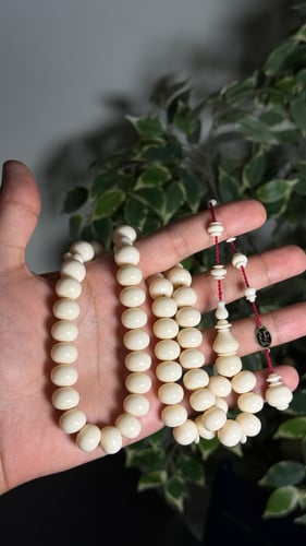 دومنه صب جديد