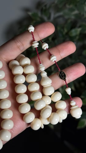 دومنه صب جديد