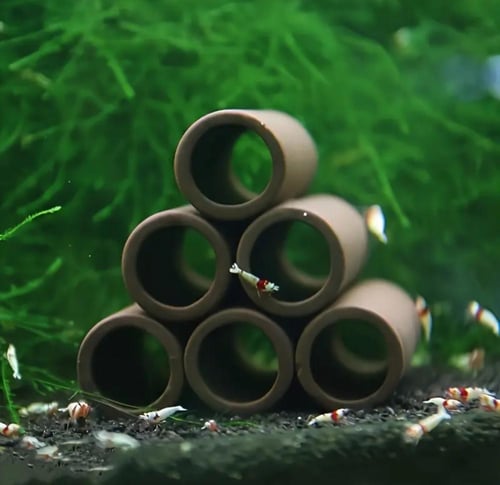 مخبأ سيراميكي للروبيان والأسماك - Ceramic Shrimp &...