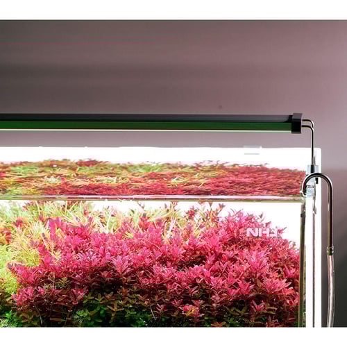 مصابيح Chihiros Series B – إضاءة احترافية لحوض الس...