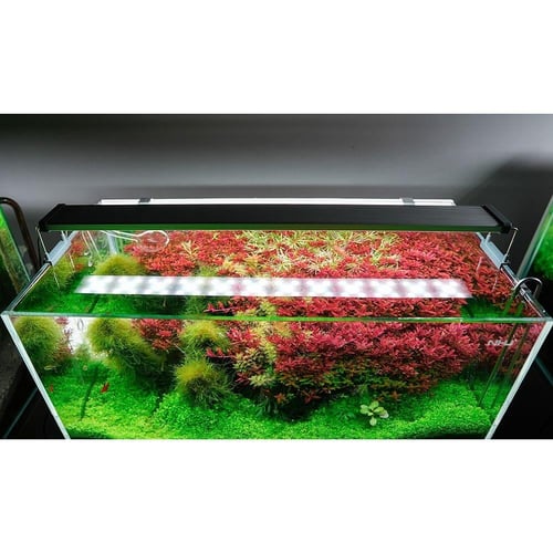 مصابيح Chihiros Series B – إضاءة احترافية لحوض الس...