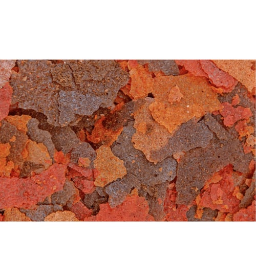 براين شرمب (ارتيميا) مجففه - Ocean Nutrition Brine...