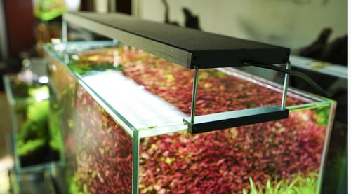 إضاءة Chihiros WRGB II Pro 60cm - إضاءة LED احتراف...