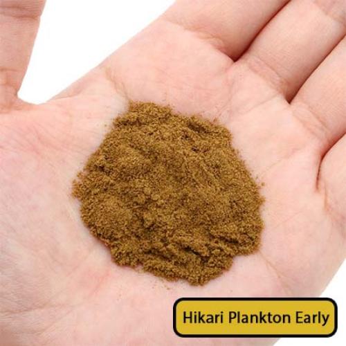 طعام صغار الأسماك - Hikari Plankton – 20g