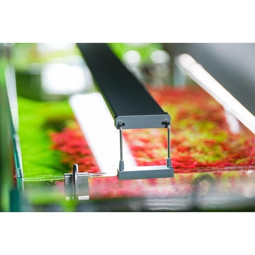 مصابيح Chihiros Series B – إضاءة احترافية لحوض الس...