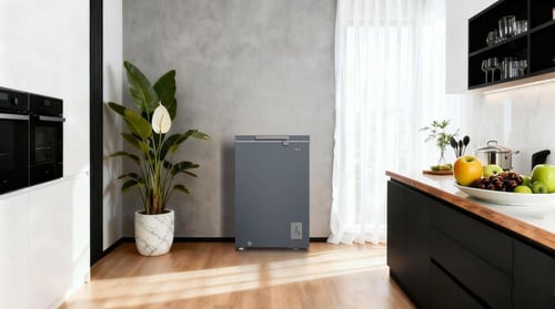 فریزر تشيك أفقي بسعة 99 لتر 3.5 قدم مكعب سلفر k CC...