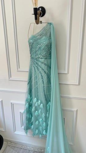 فستان الأنيق ريش