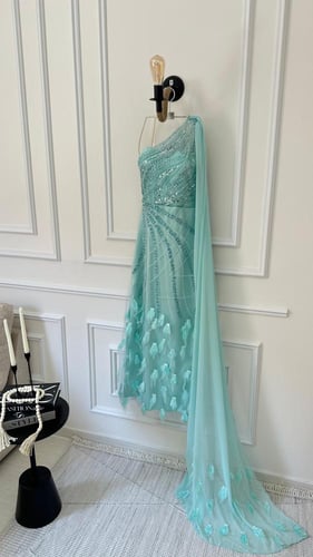 فستان الأنيق ريش