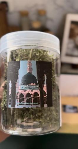 نعناع المدينة المنورة