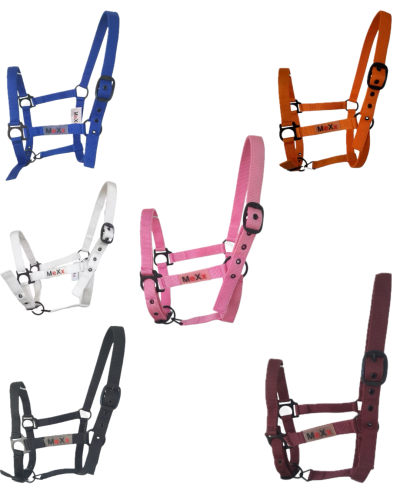 رشمه خيل ملونة (ستايل رياضي)