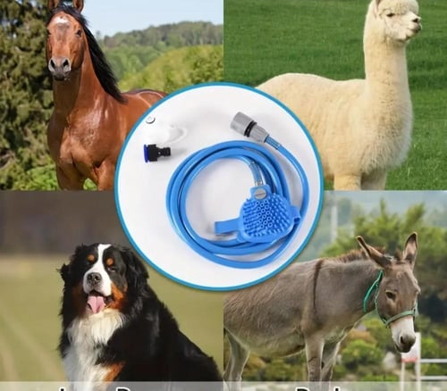 فرشة استحمام للخيل