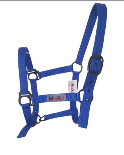 رشمه خيل ملونة (ستايل رياضي)