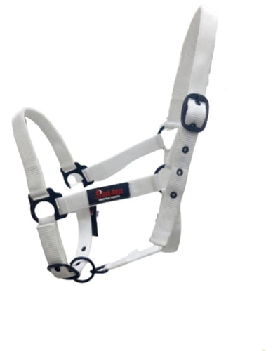 رشمه خيل ملونة (ستايل رياضي)