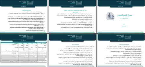 سجل النمو المهني