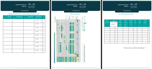 سجل الموجه الصحي