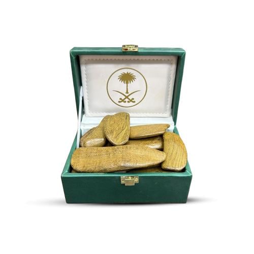 عود الشيوخ