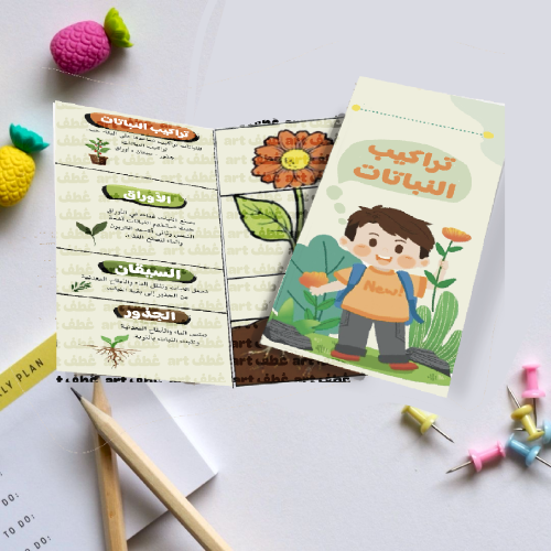 مطوية تراكيب النباتات علوم صف ثالث