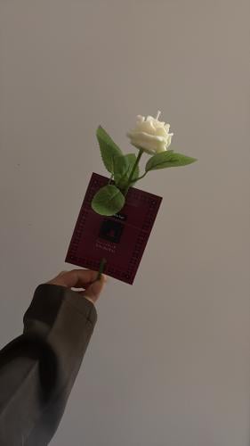 توزيعات ورد لليوم الوطني