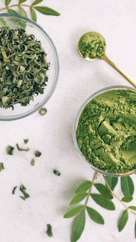 عشبة الانديغا_لشيب